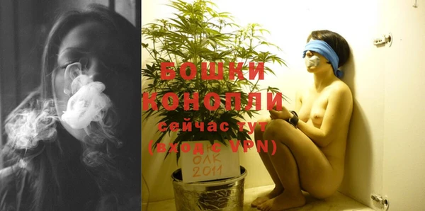 МДПВ Пролетарск